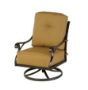 Picture of Hanamint Estate Swivel Club Chair